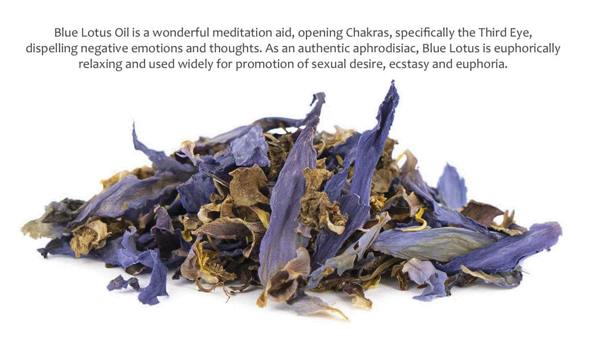 Organic Blue Lotus Incense Sticks - Double Strength Temple Grade