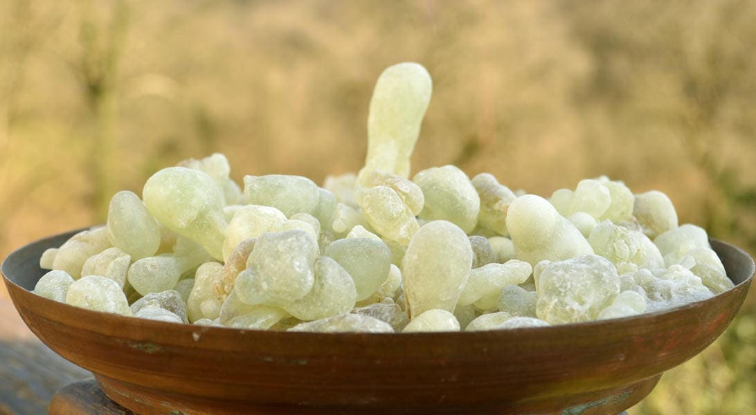 Organic Royal Green Hojari Frankincense