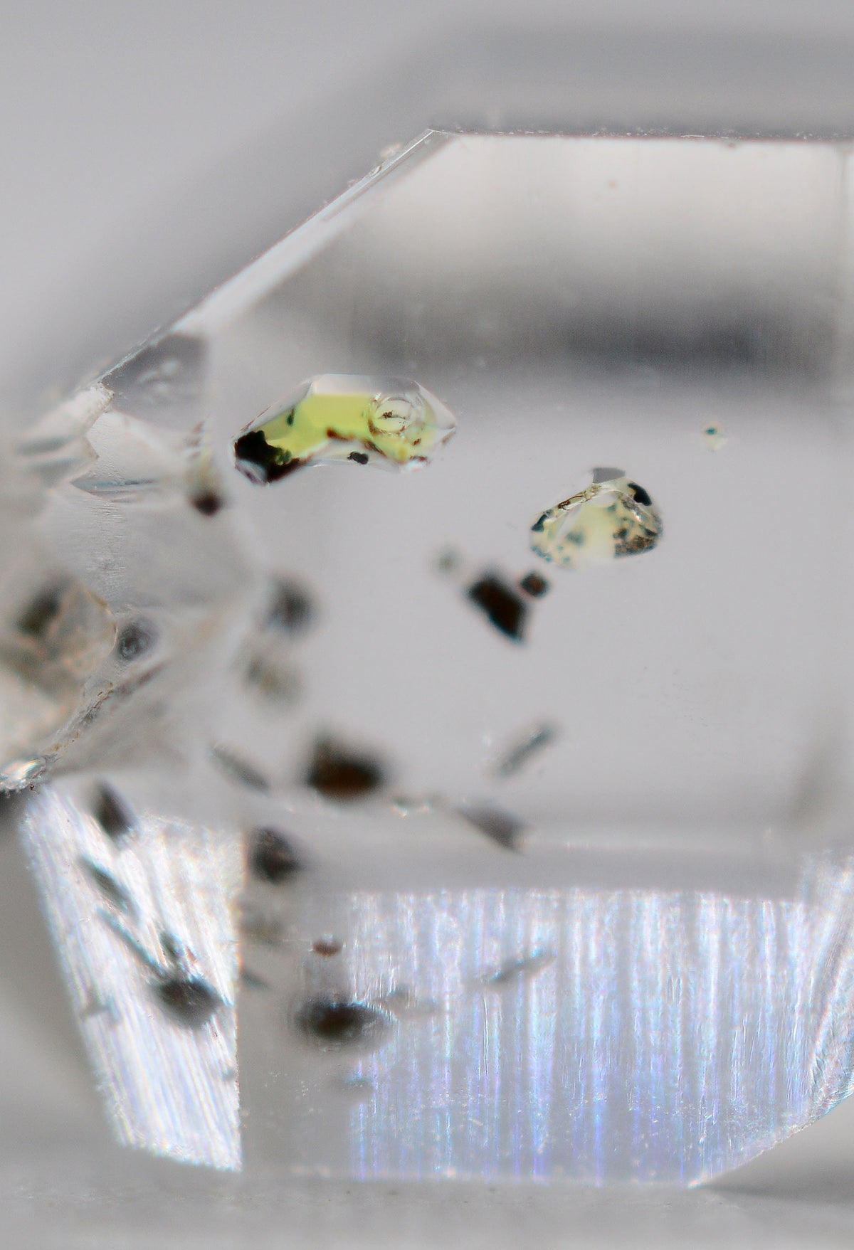 Golden Enhydro ~ Petroleum Quartz