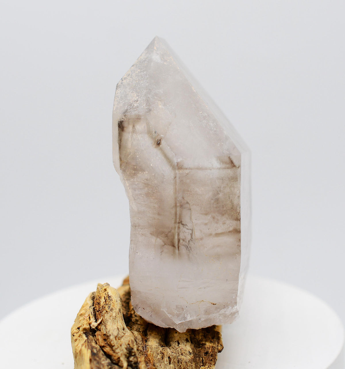 Brandberg Quartz Black Phantom Enhydro
