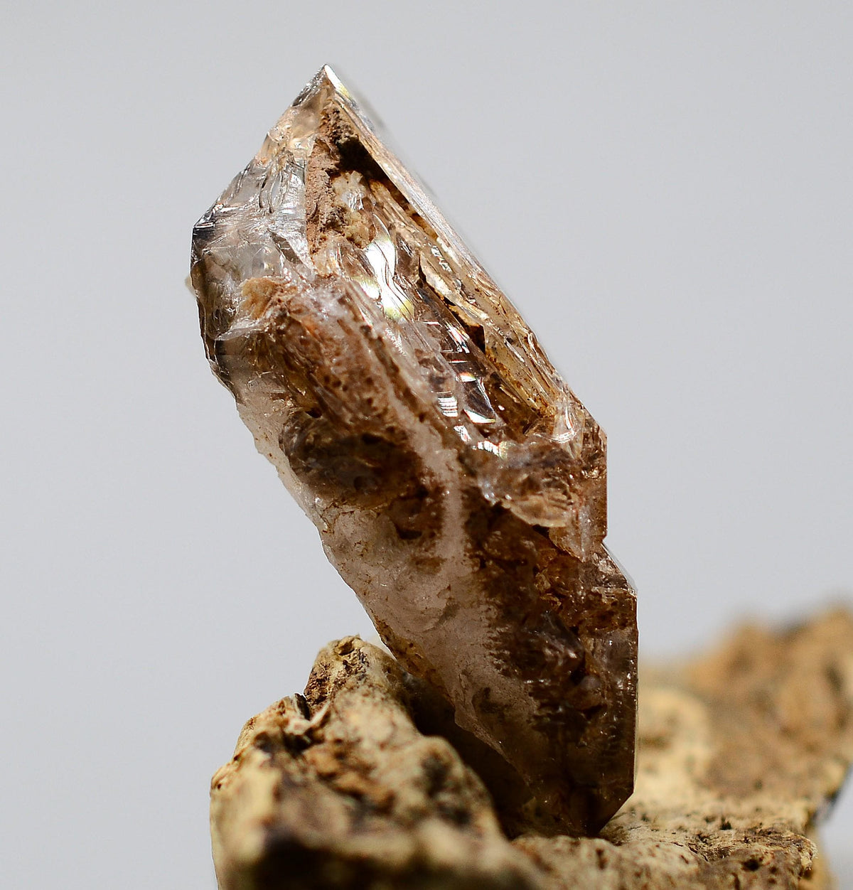 Omapeleki Brandberg Skeletal Black Phantom: Ethically Mined Quartz Crystal