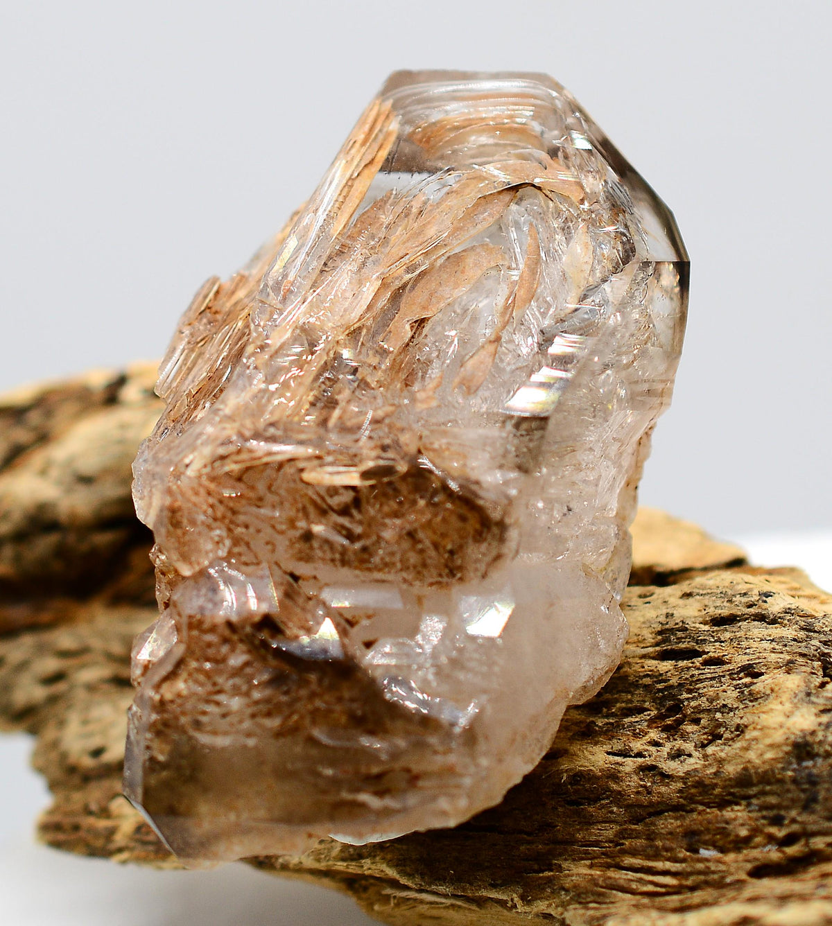 Omapeleki Brandberg Skeletal Black Phantom: Ethically Mined Quartz Crystal