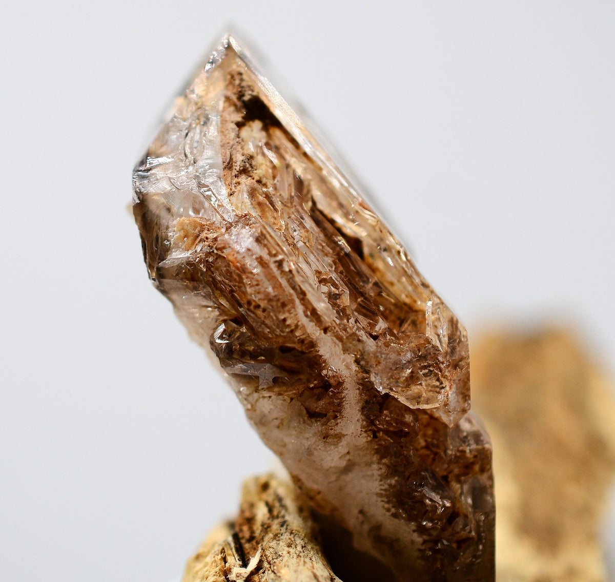 Omapeleki Brandberg Skeletal Black Phantom: Ethically Mined Quartz Crystal