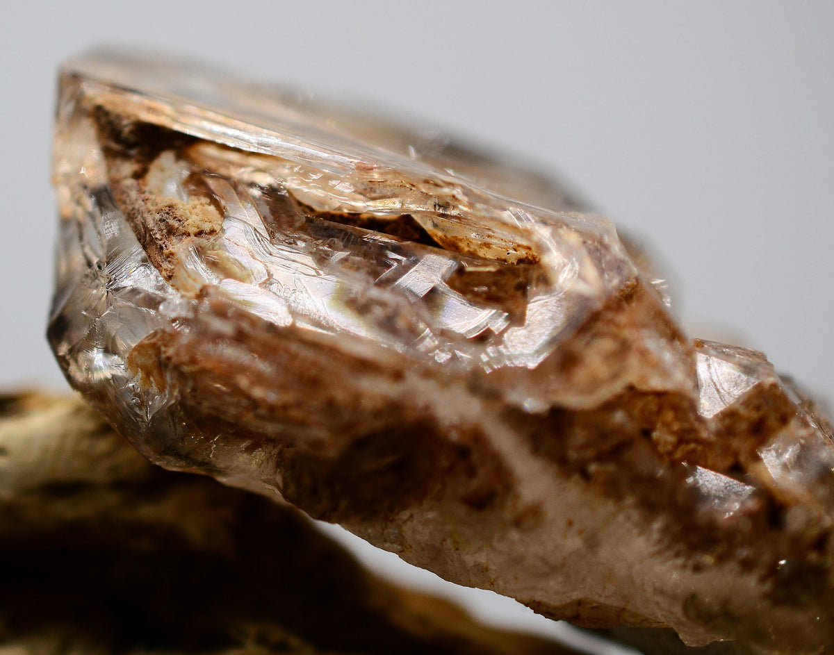 Omapeleki Brandberg Skeletal Black Phantom: Ethically Mined Quartz Crystal