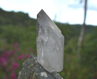Brandberg Chlorite Included Harlequin Crystal