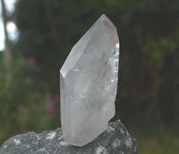 Brandberg Chlorite Included Harlequin Crystal