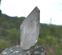 Brandberg Chlorite Included Harlequin Crystal