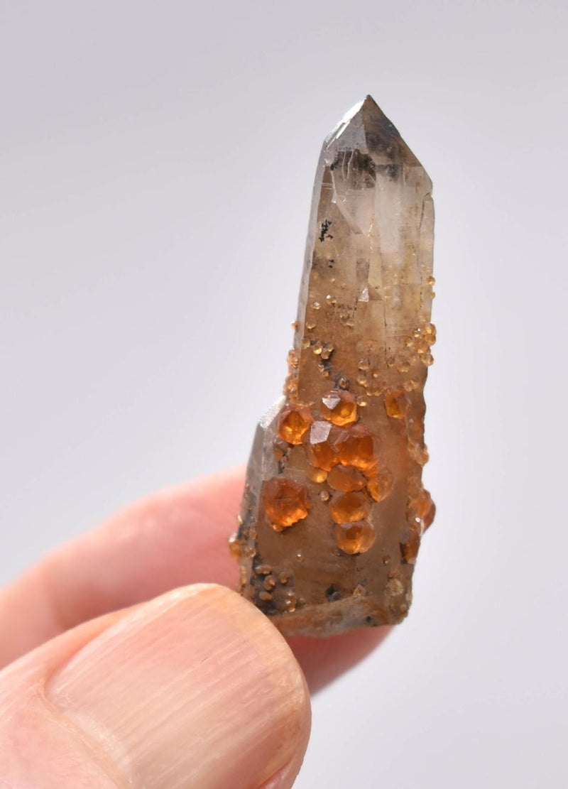 Orange Garnets on Smoky Quartz