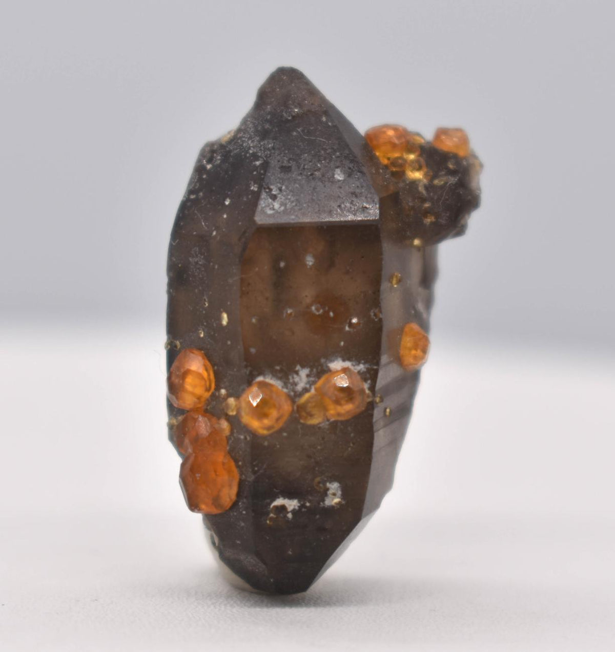 Orange Garnets on Smoky Quartz DT Manifestation Crystal