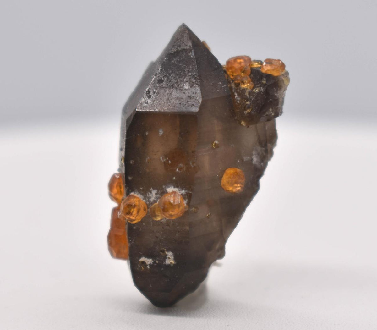 Orange Garnets on Smoky Quartz DT Manifestation Crystal