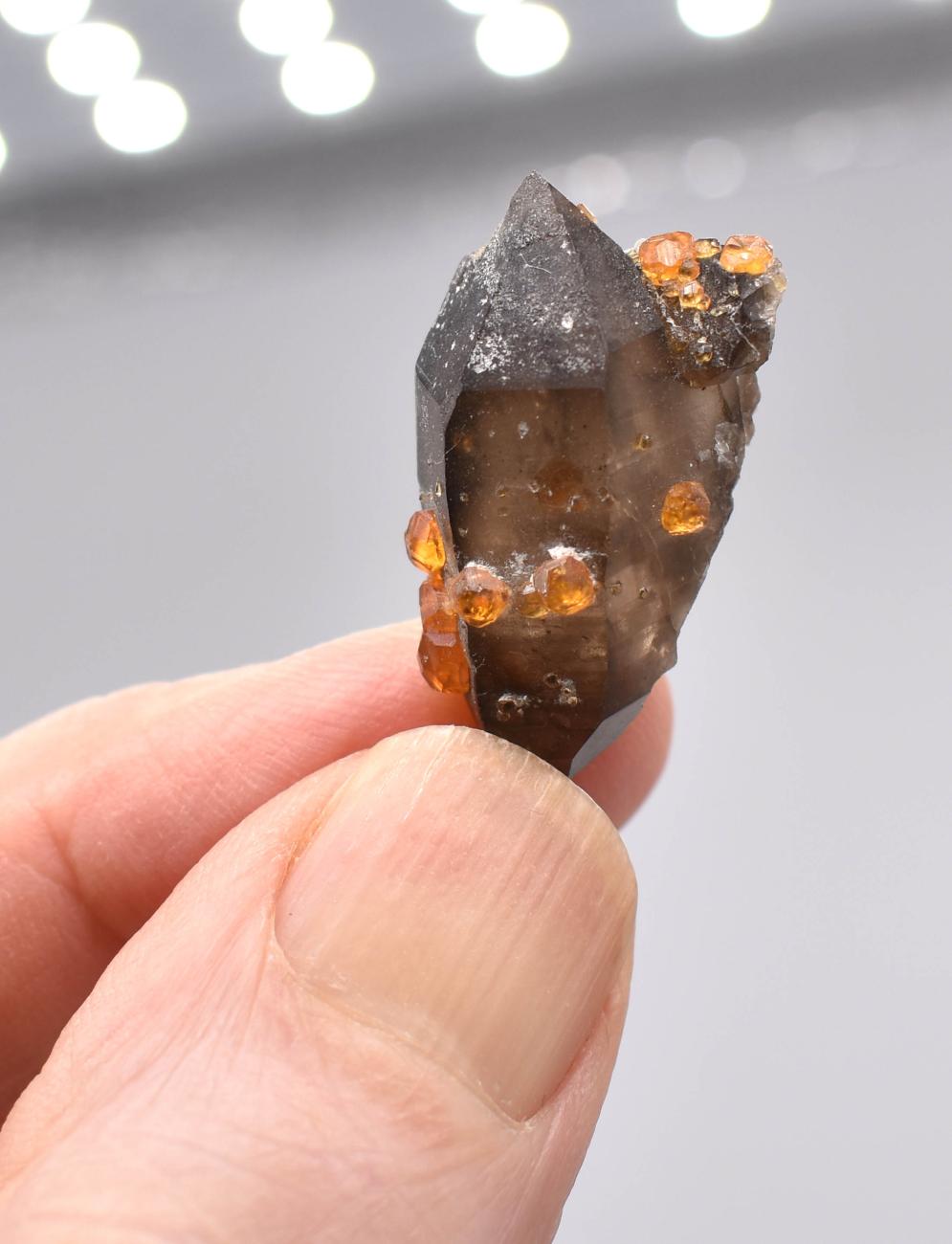 Orange Garnets on Smoky Quartz DT Manifestation Crystal