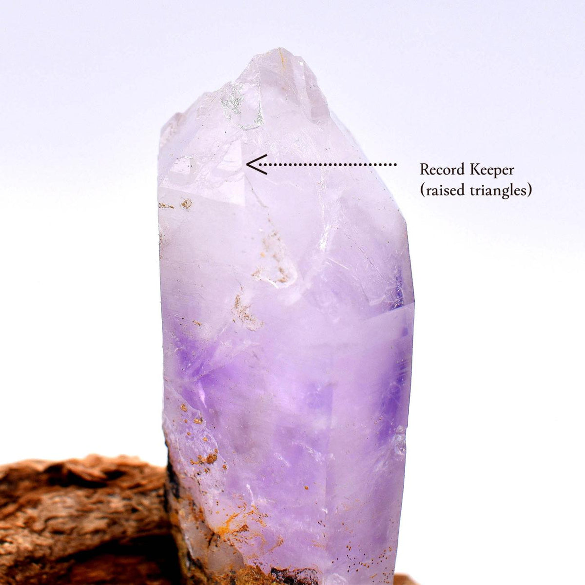 Brandberg Amethyst Flame Record Keeper Etched Enhydro