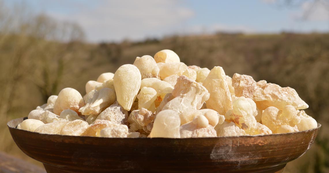 Organic Citrus Hojari Frankincense