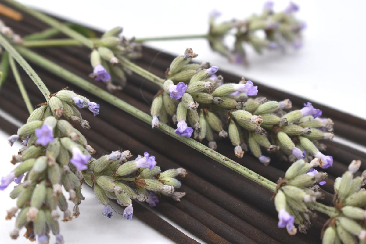 Organic French Lavender Incense Sticks - Double Strength Temple Grade