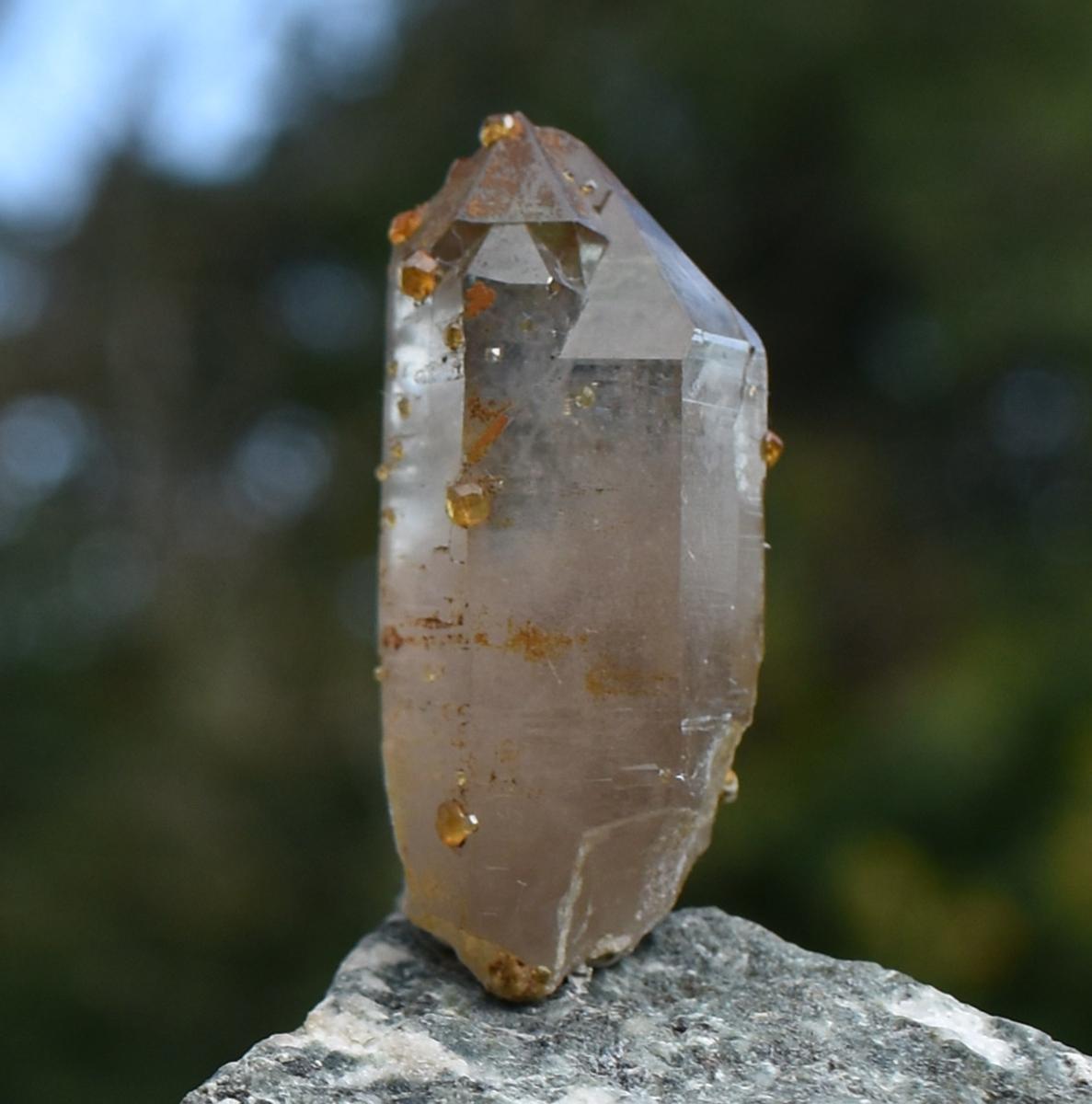 Orange Garnets on Self-Healed Smoky Quartz