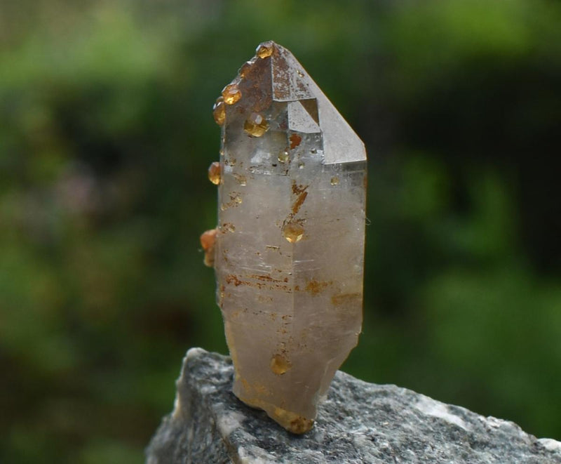 Orange Garnets on Self-Healed Smoky Quartz