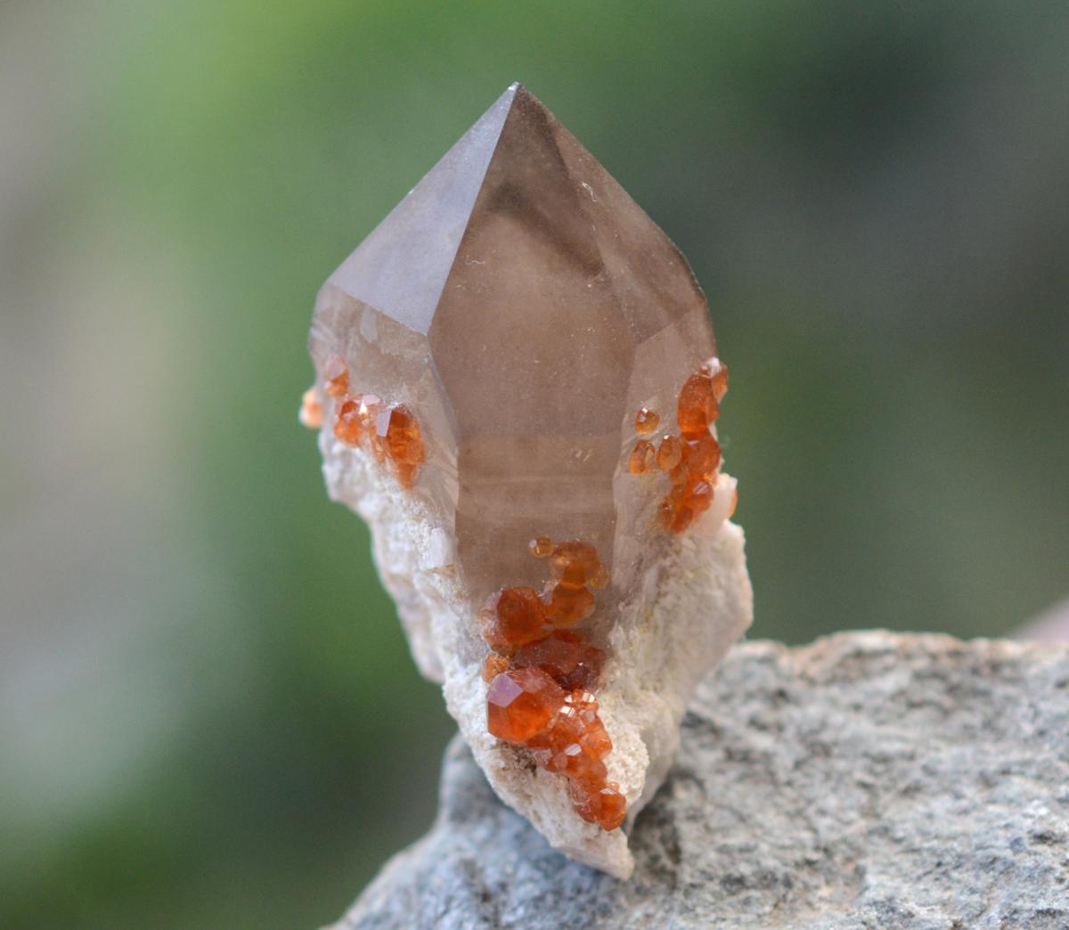 Orange Garnets on Self-Healed Smoky Quartz Phantom