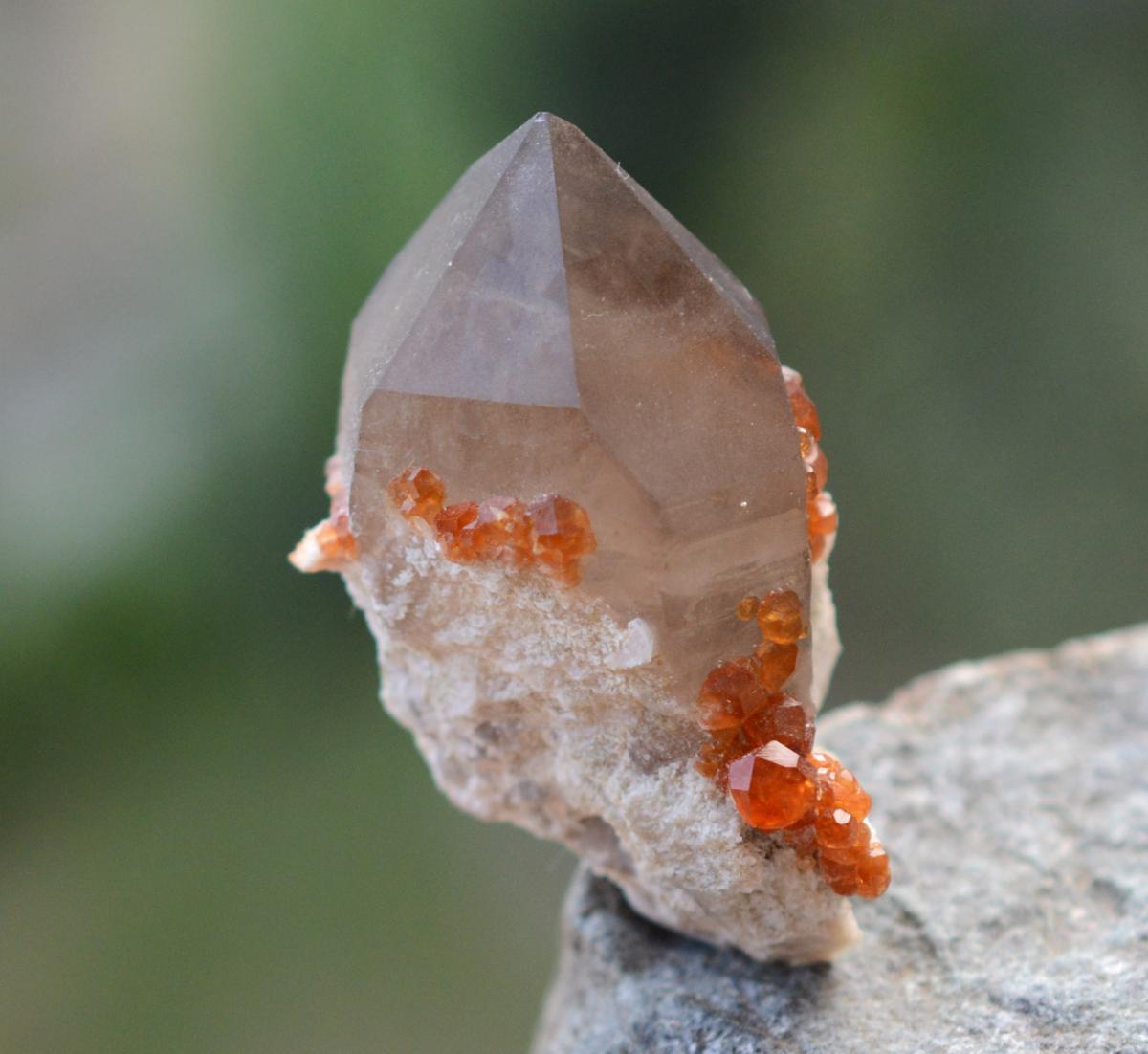 Orange Garnets on Self-Healed Smoky Quartz Phantom