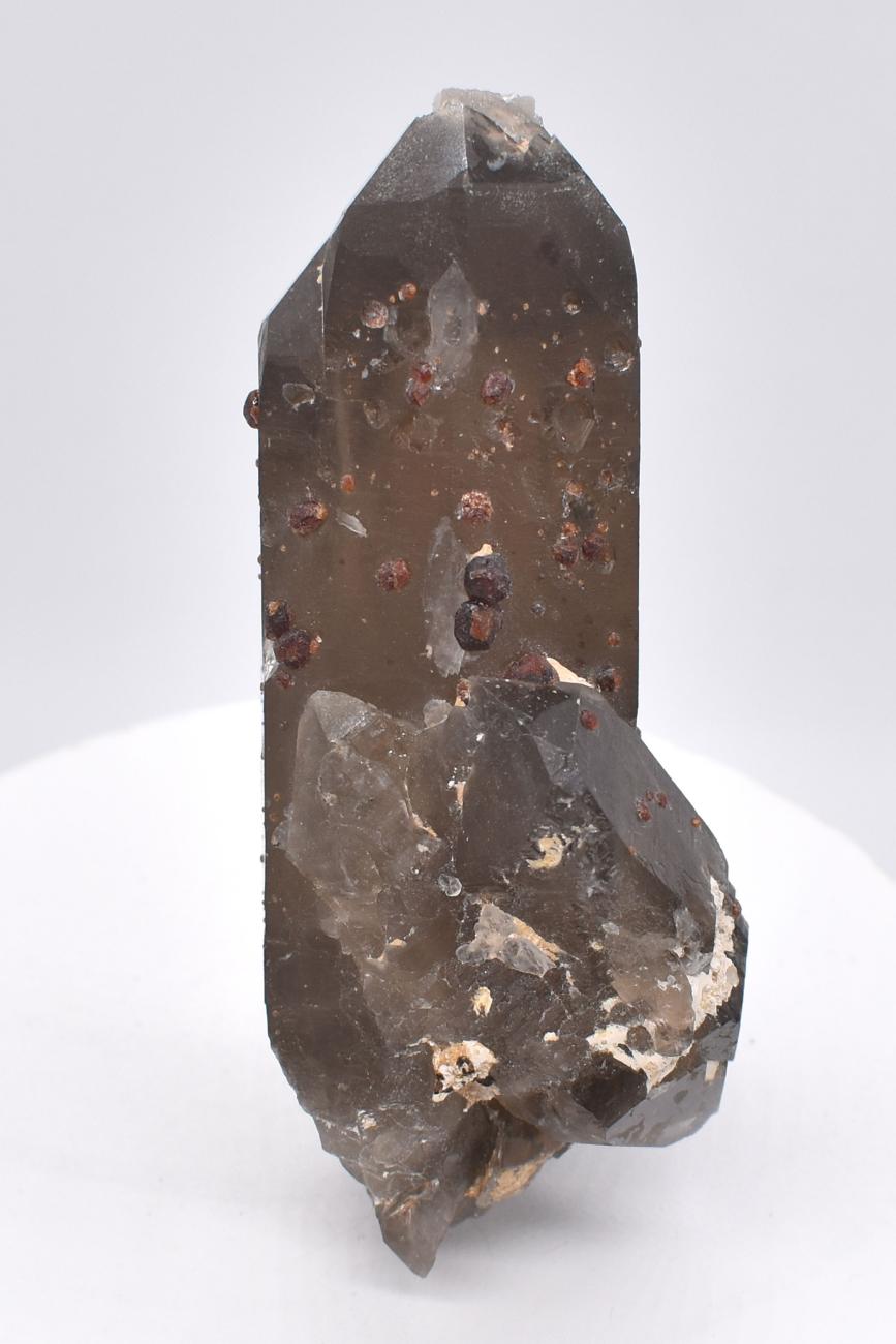 Orange Garnets on Self-Healed Smoky Quartz DT