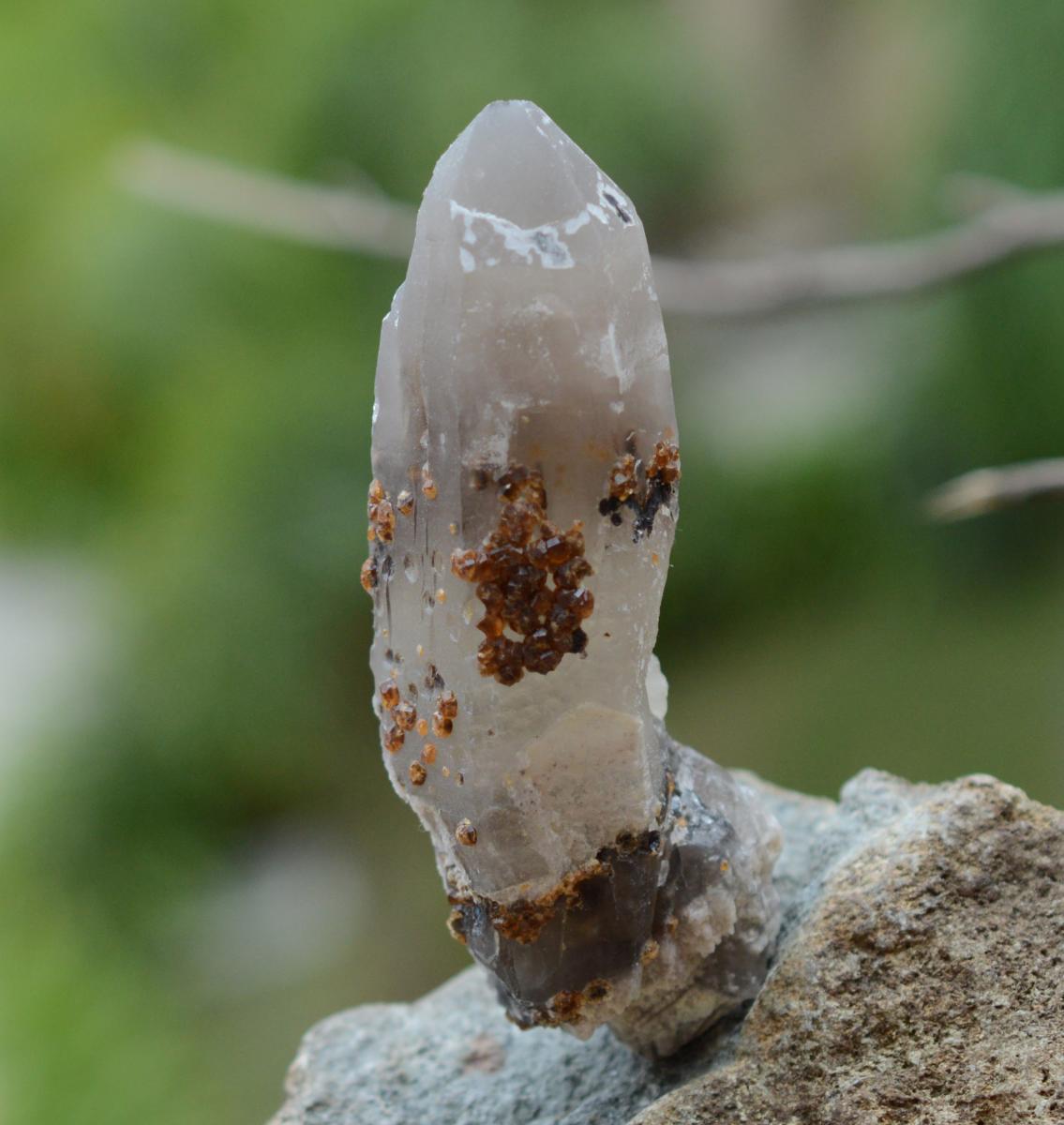 Orange Garnets on Self-Healed Smoky Quartz Manifestation Crystal