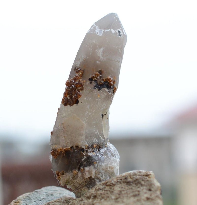 Orange Garnets on Self-Healed Smoky Quartz Manifestation Crystal