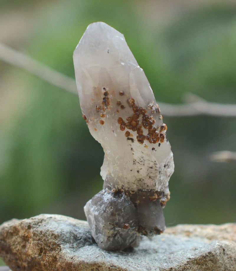 Orange Garnets on Self-Healed Smoky Quartz Manifestation Crystal