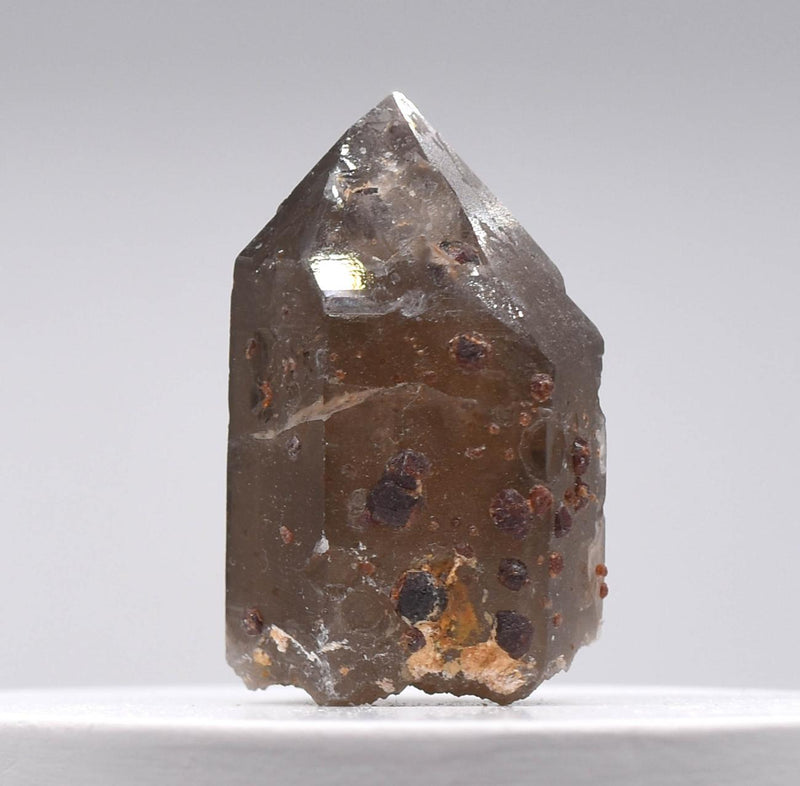 Orange Garnets on Self-Healed Smoky Quartz