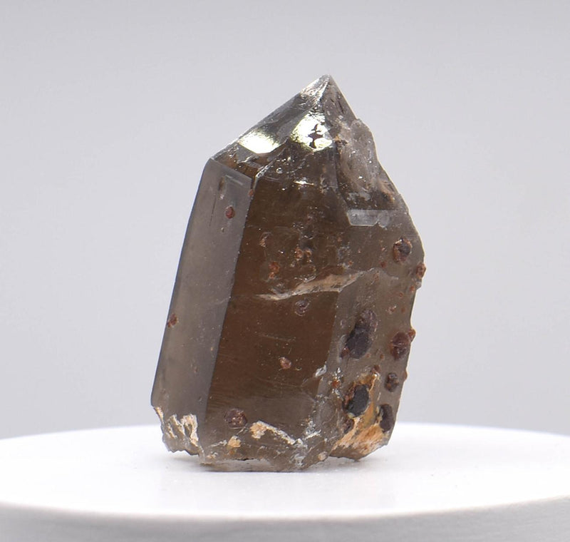 Orange Garnets on Self-Healed Smoky Quartz