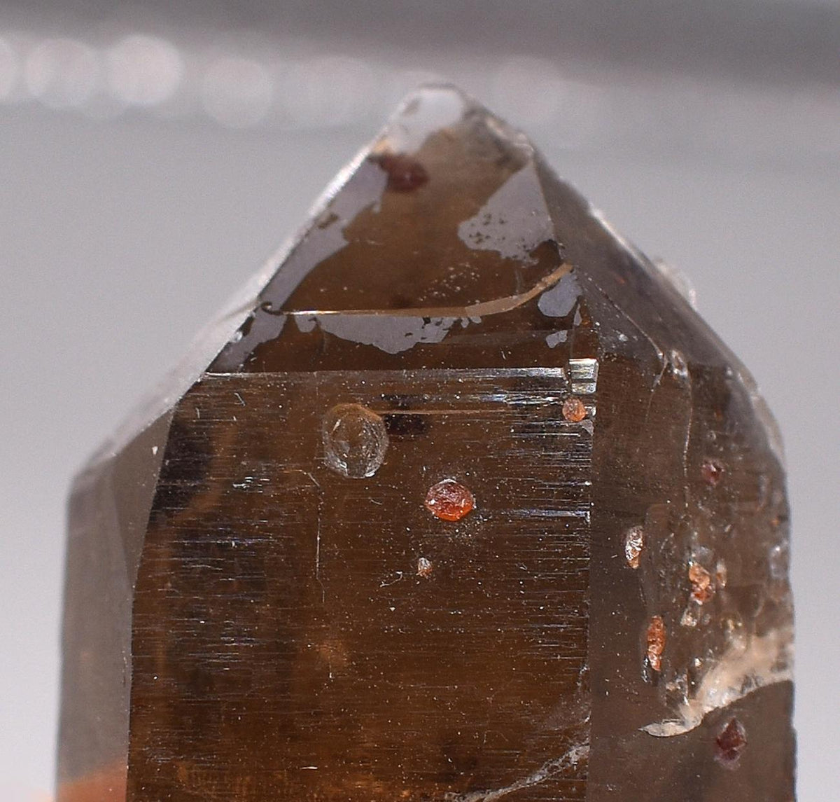 Orange Garnets on Self-Healed Smoky Quartz