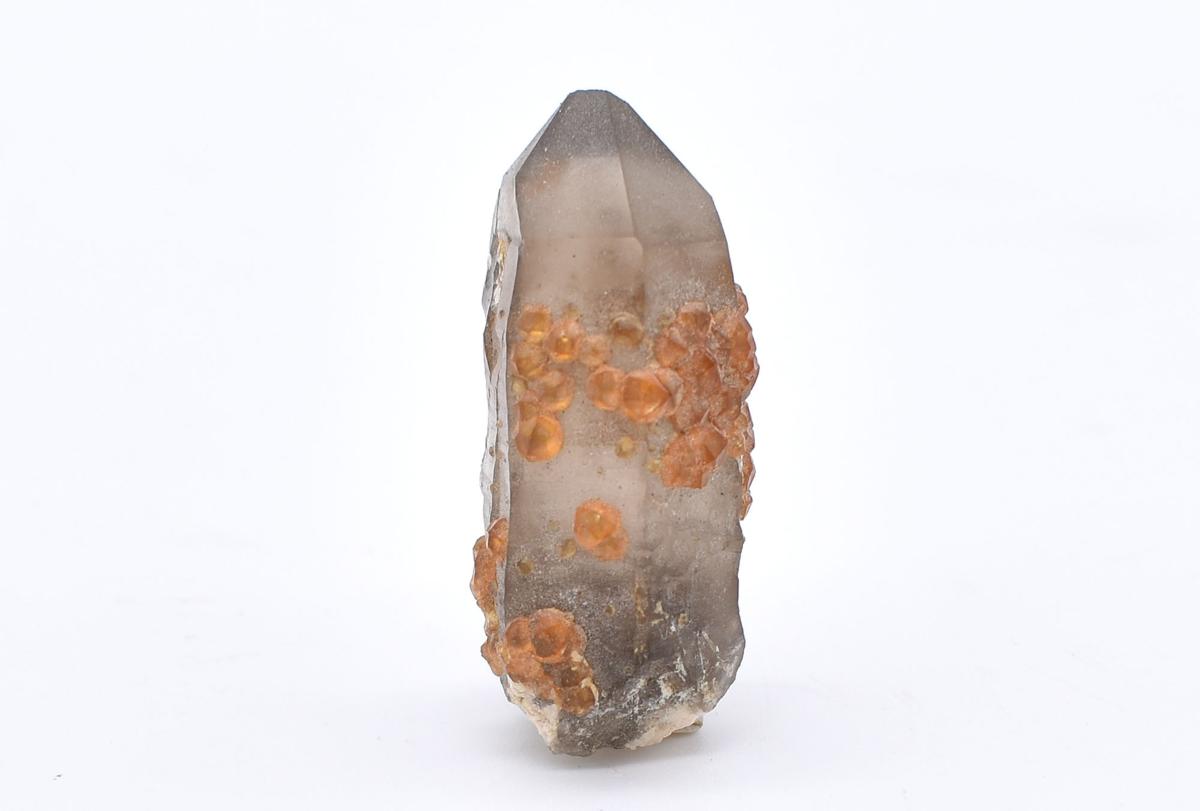 Orange Garnets on Self-Healed Smoky Quartz Manifestation Crystal