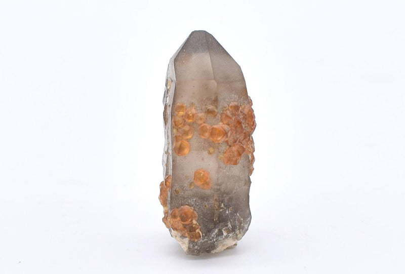 Orange Garnets on Self-Healed Smoky Quartz Manifestation Crystal