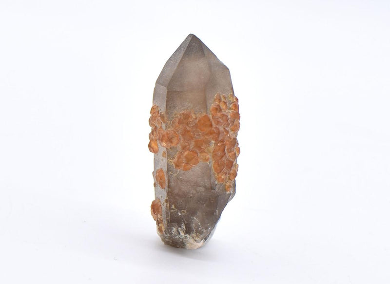 Orange Garnets on Self-Healed Smoky Quartz Manifestation Crystal