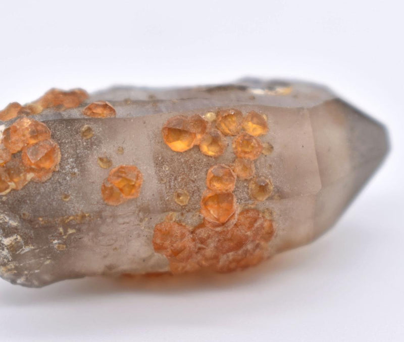 Orange Garnets on Self-Healed Smoky Quartz Manifestation Crystal