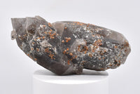 Orange Garnets on Self-Healed Smokey DT Elestial Quartz