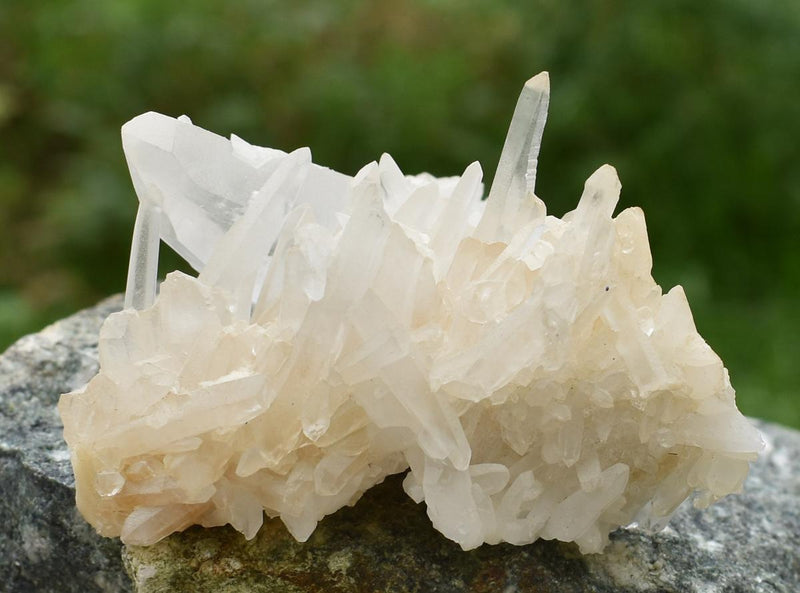 Himalayan Quartz Cluster