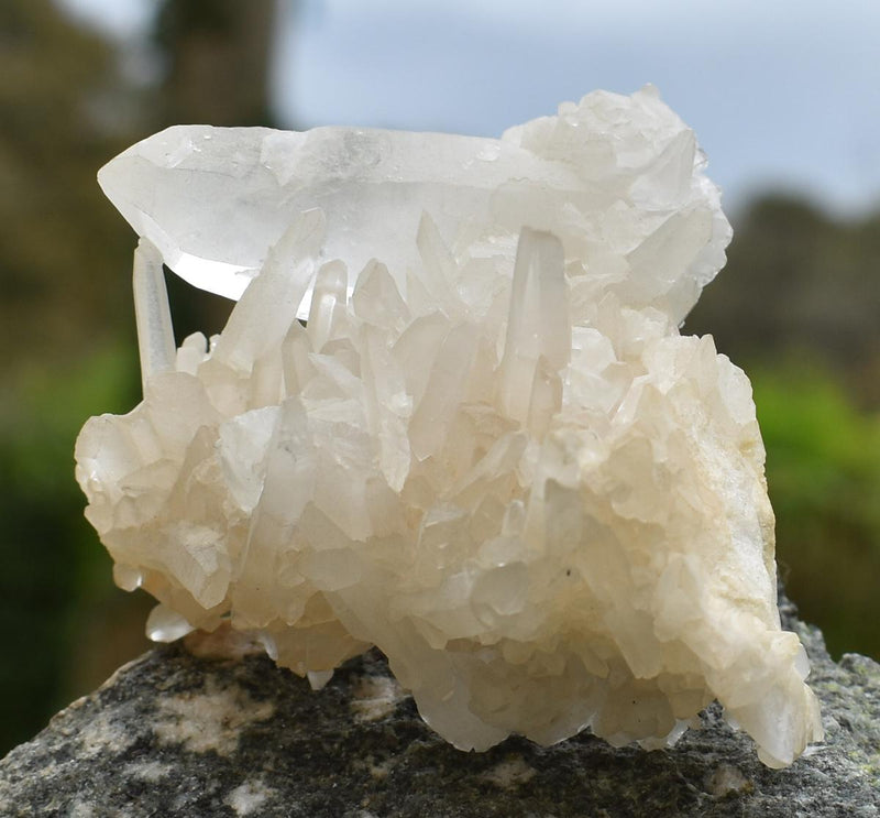 Himalayan Quartz Cluster