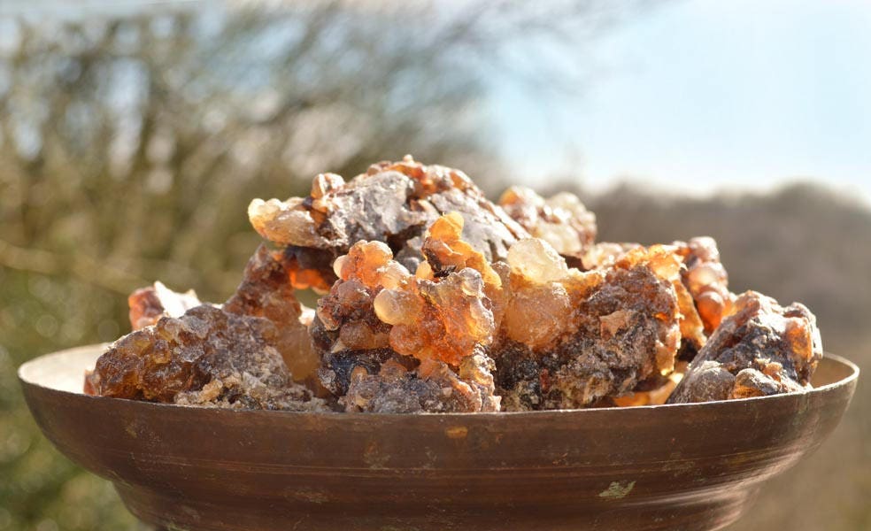 Organic Black Hojari Frankincense