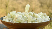 Organic Royal Green Hojari Frankincense