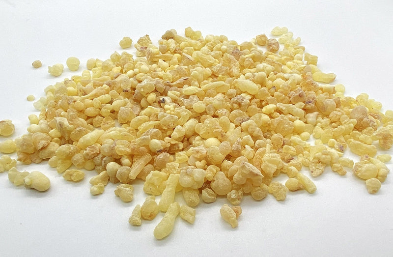 Organic Golden Hojari Frankincense