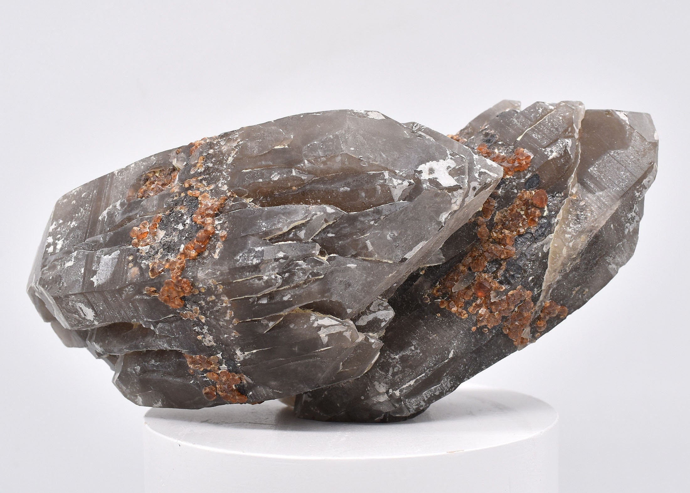 Spessartine Garnets on Smokey Quartz