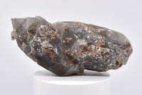 Spessartine Garnets on Self-Healed Smokey DT Elestial Quartz