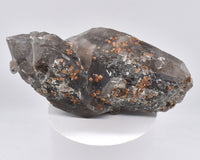 Spessartine Garnets on Self-Healed Smokey DT Elestial Quartz