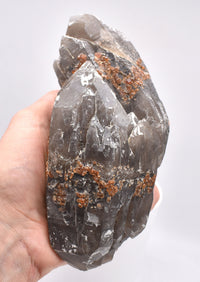 Spessartine Garnets on Smokey Quartz