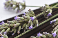 Organic French Lavender - Hand-Rolled Temple Grade Natural Incense Sticks