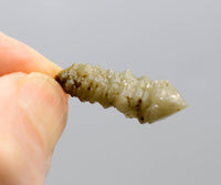 Mongolian Elestial Green Quartz Generator Sceptres with Hedenbergite