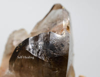 Brandberg Quartz Self-Healed Smoky Black Phantom