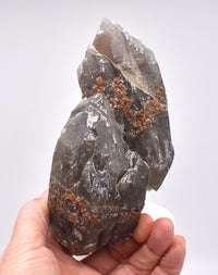 Spessartine Garnets on Self-Healed Smokey DT Elestial Quartz