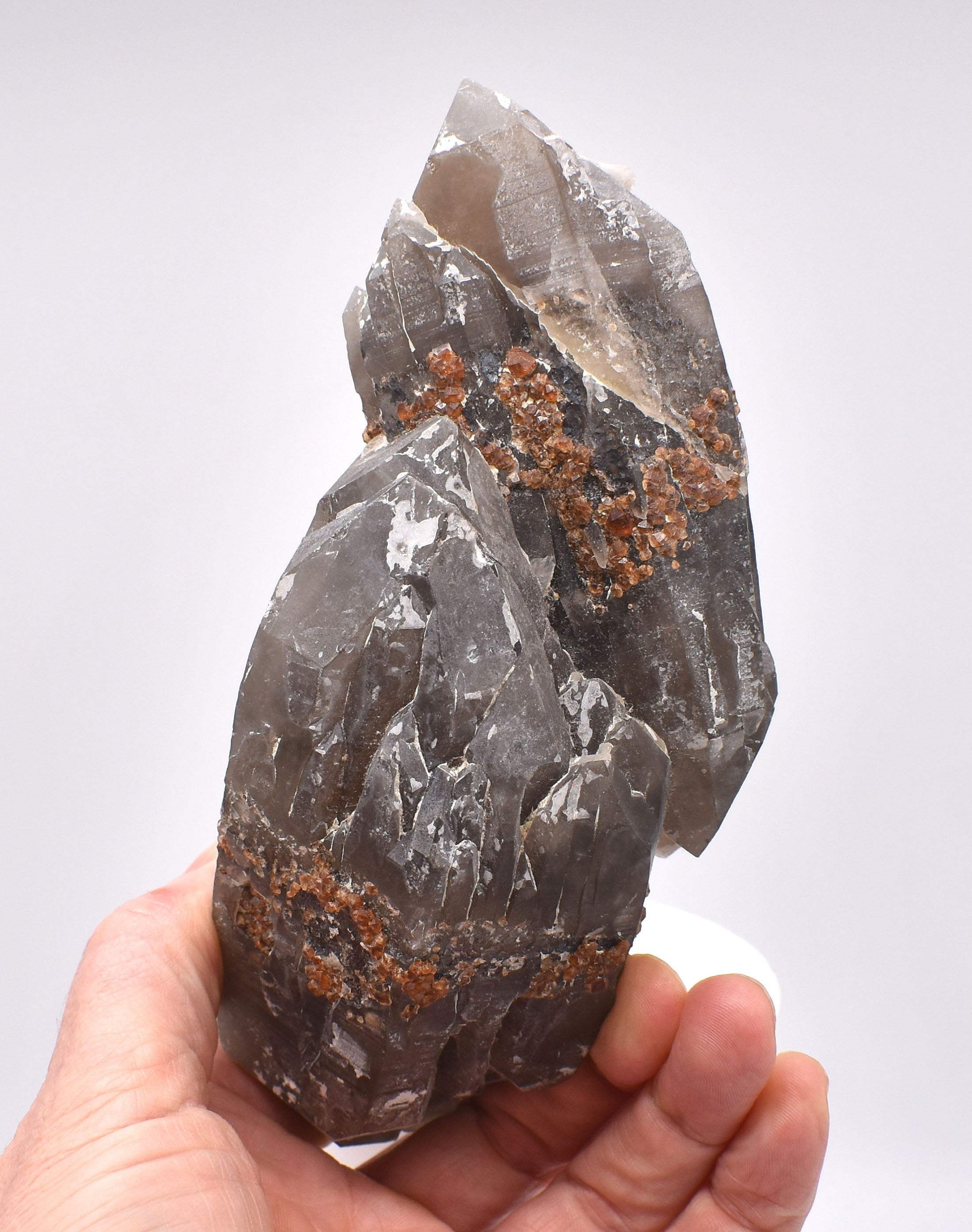 Spessartine Garnets on Self-Healed Smokey DT Elestial Quartz