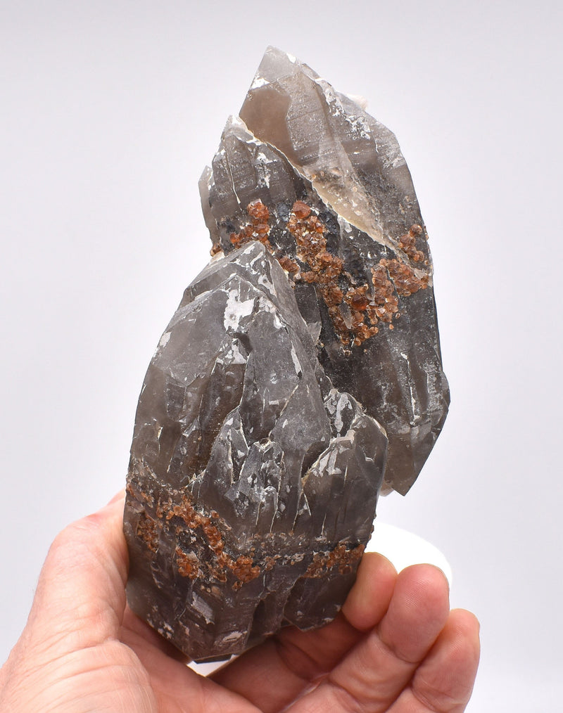Spessartine Garnets on Self-Healed Smokey DT Elestial Quartz