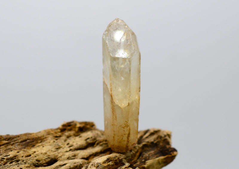 Natural Congo Citrine ~ Kundalini Quartz